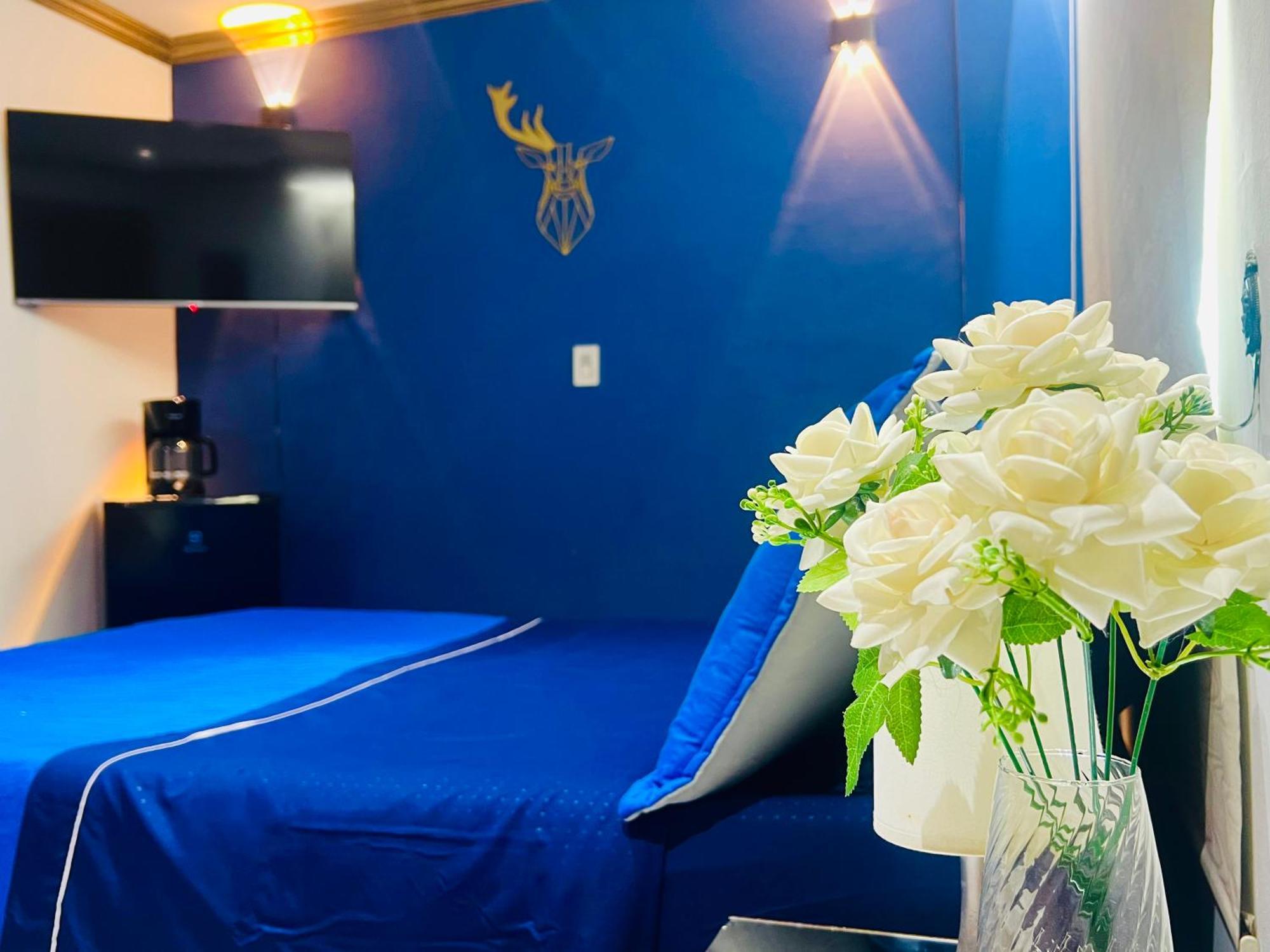 Casa De Lujo En Privado Por Homestay